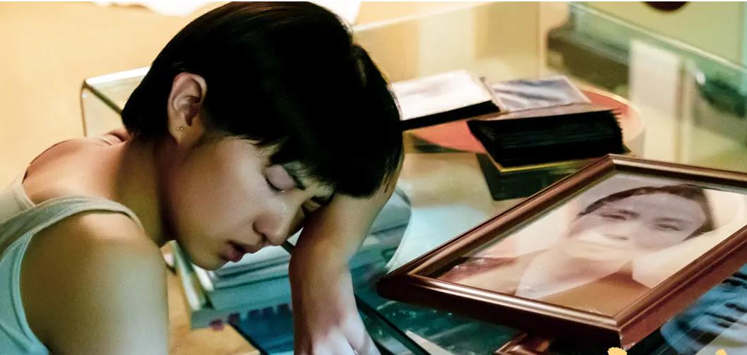 几乎没有黑粉的明星_演技与口碑并存的明星_娱乐圈没人怕的明星