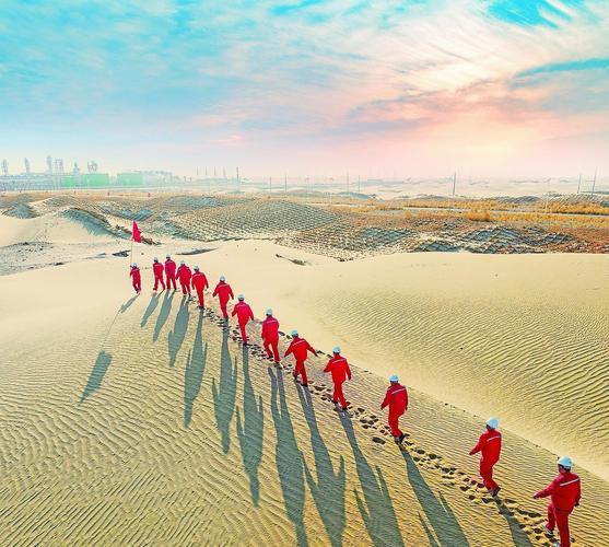 大漠青春在线观看：一代代青年扎根西部，光伏板下新绿洲