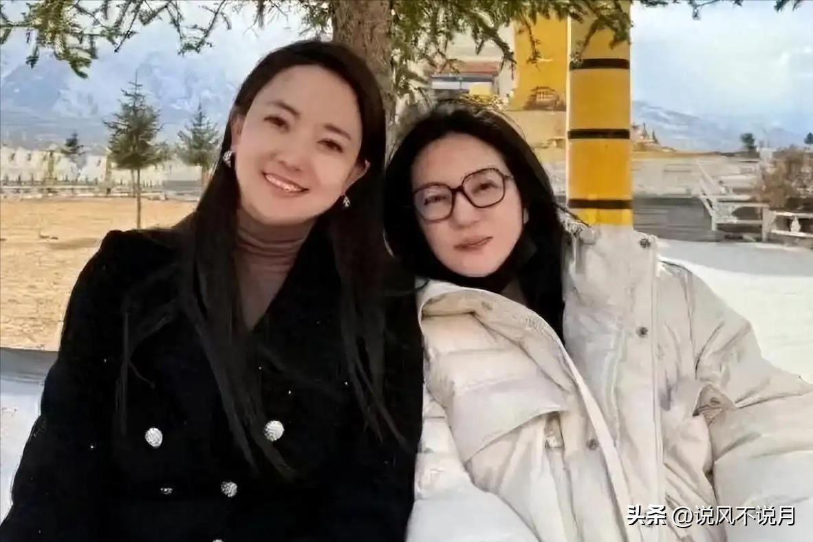 赵薇现在还在娱乐圈吗_赵薇被执行冻结股权事件_赵薇被封杀后女儿复出